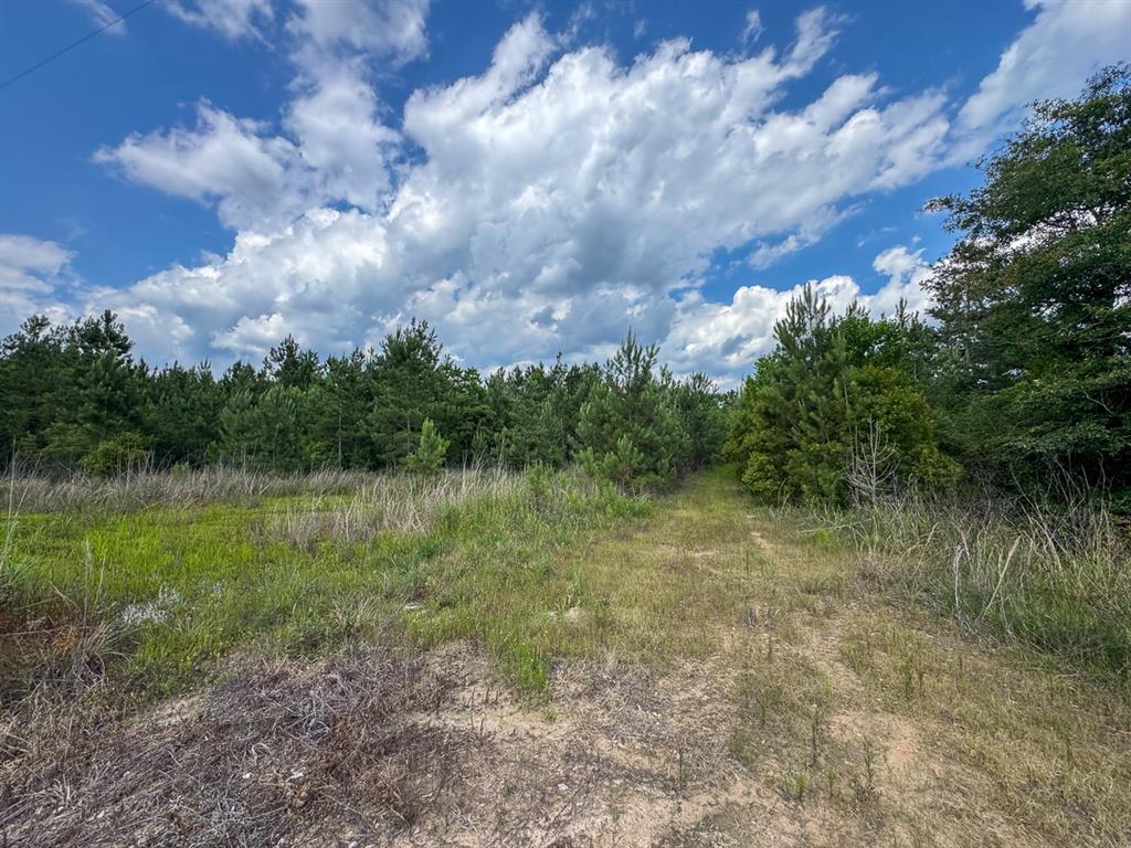 0 Highway 27 Property Photo 5
