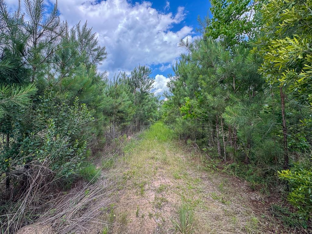0 Highway 27 Property Photo 6