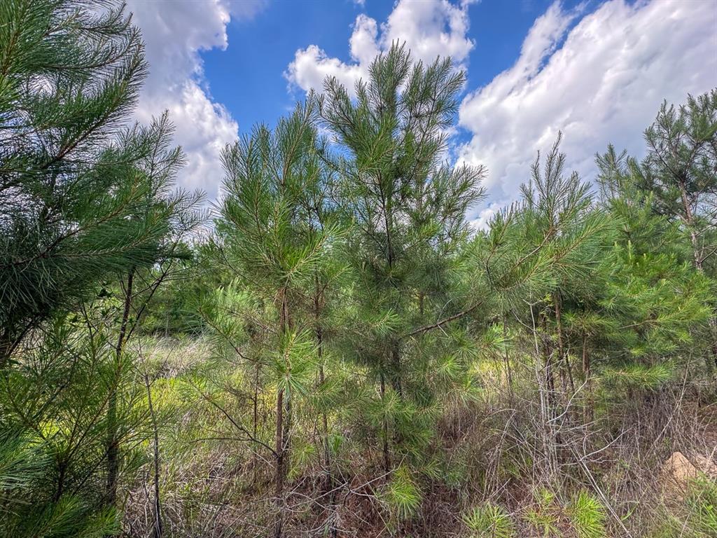 0 Highway 27 Property Photo 7