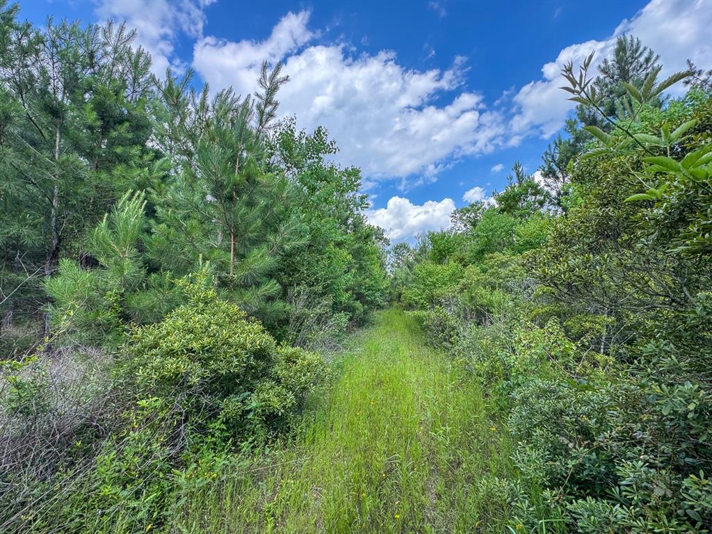 0 Highway 27 Property Photo 8