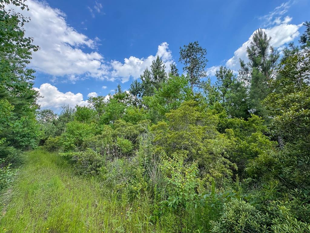 0 Highway 27 Property Photo 9