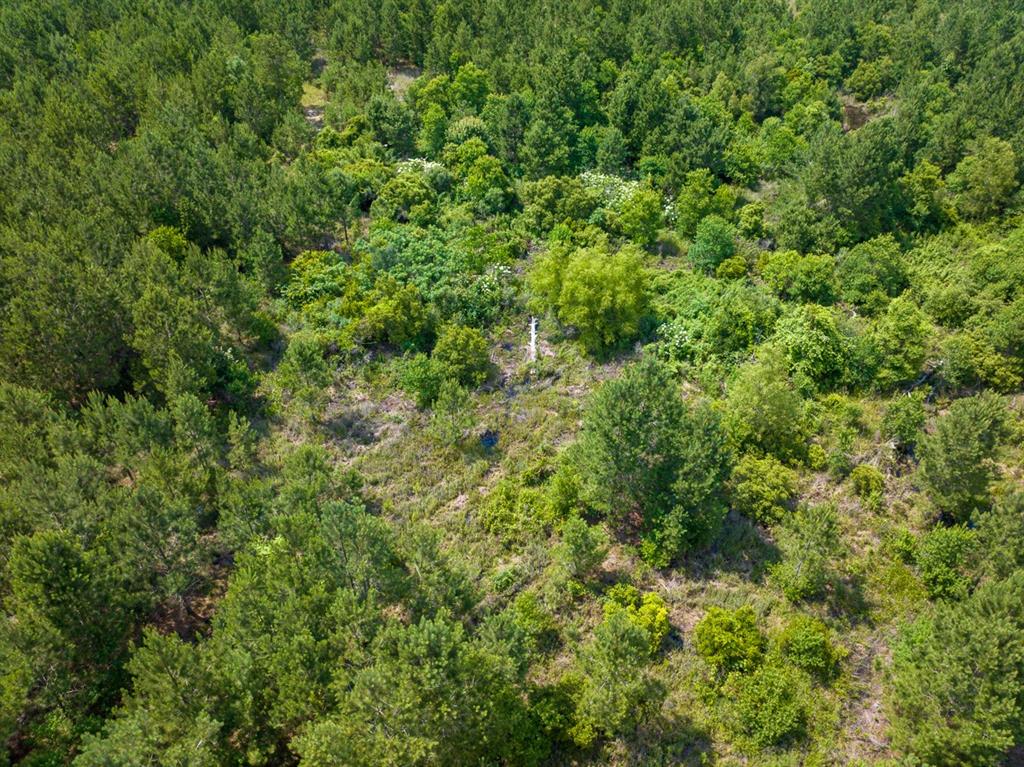 0 Highway 27 Property Photo 11