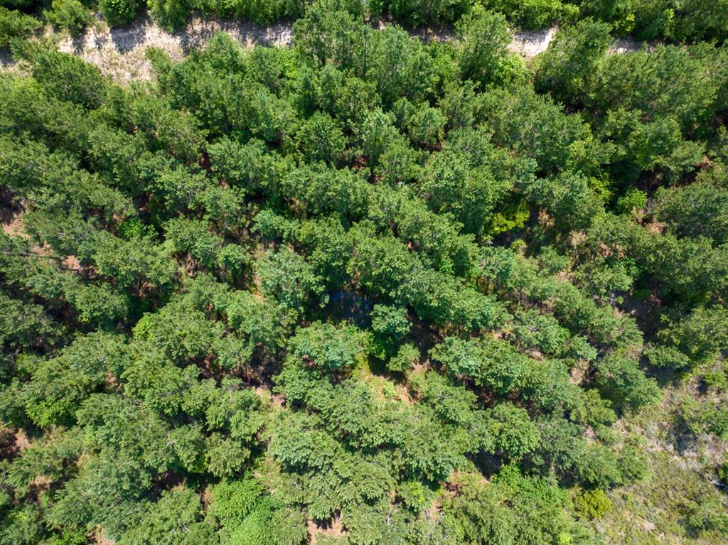 0 Highway 27 Property Photo 12