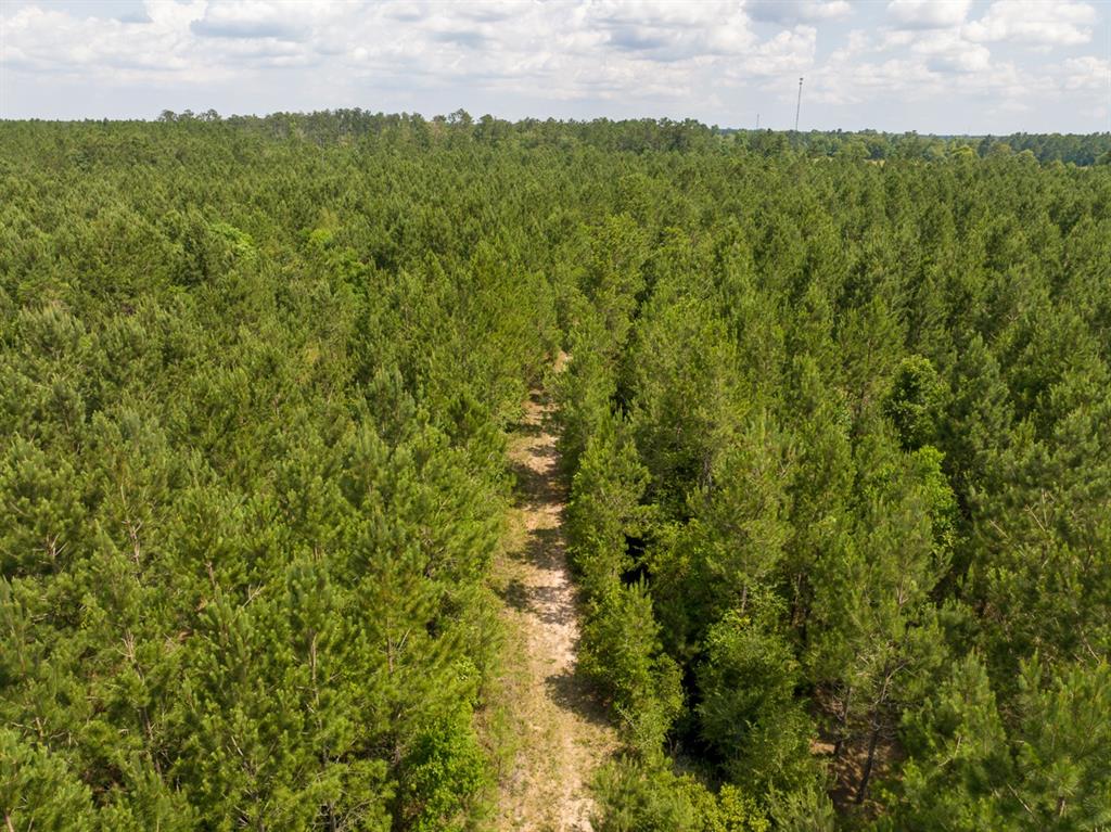 0 Highway 27 Property Photo 13
