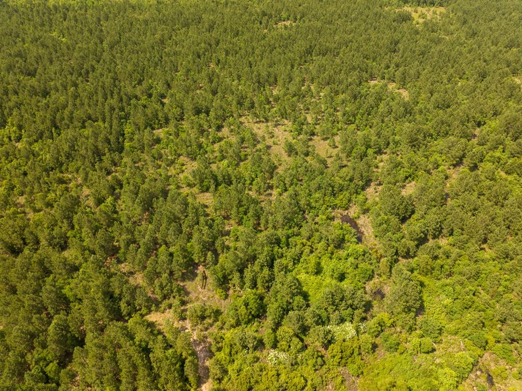 0 Highway 27 Property Photo 15