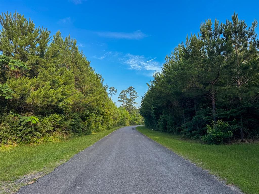 T-1 Dido Loop Property Photo 4