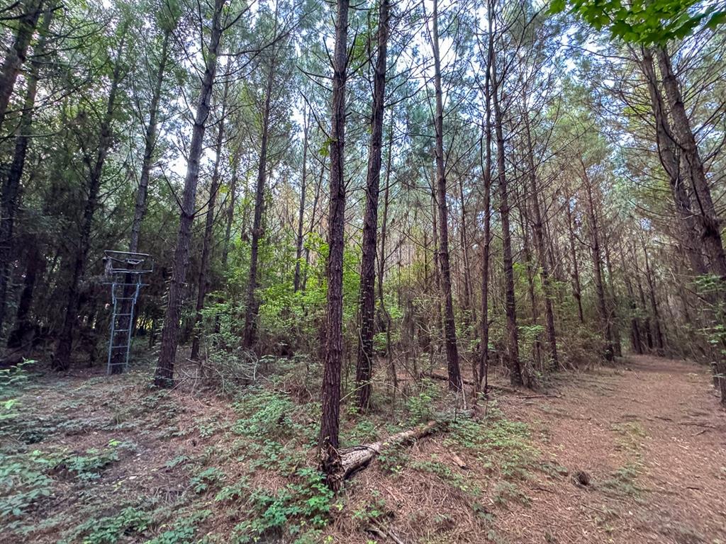 T-1 Dido Loop Property Photo 7