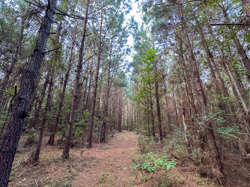 T-1 Dido Loop Property Photo 8