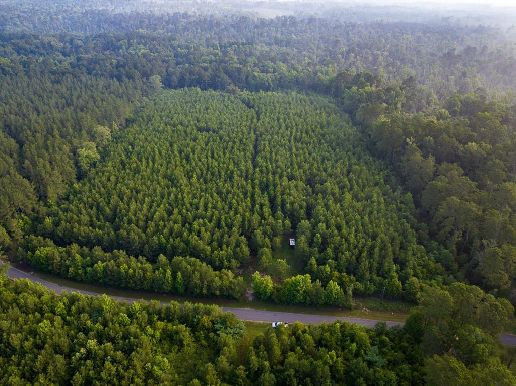 T-1 Dido Loop Property Photo 12