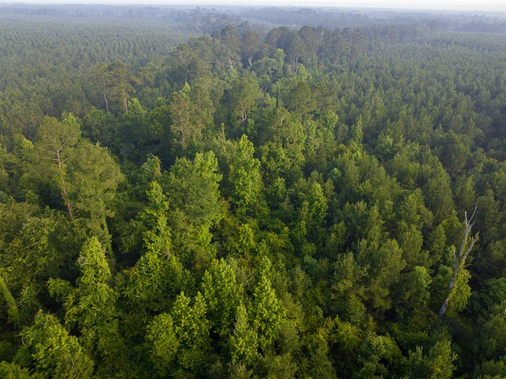 T-2 Dido Loop Property Photo 11