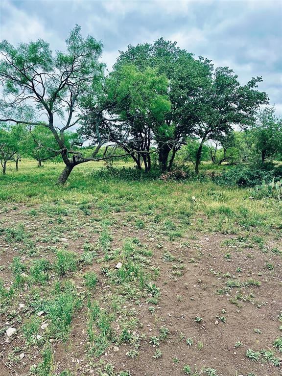 401 Fallow Spur Property Photo 3