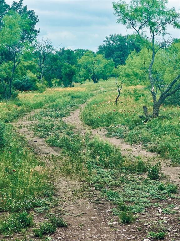 401 Fallow Spur Property Photo 4