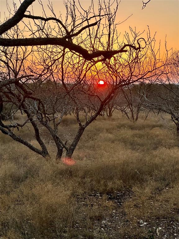 401 Fallow Spur Property Photo 6