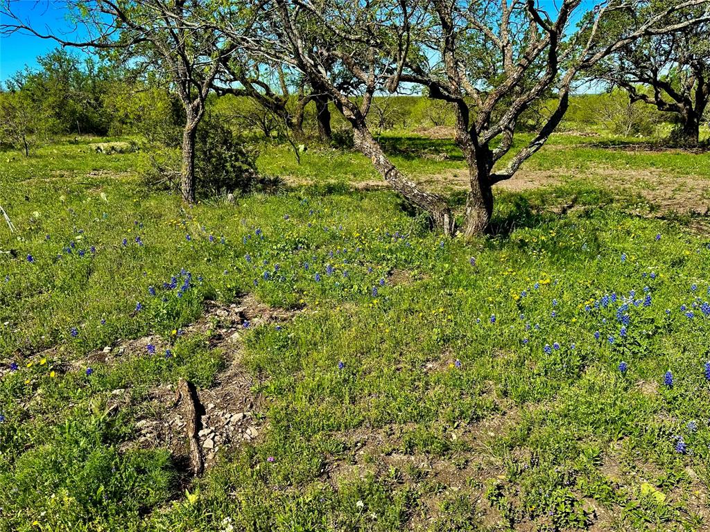 401 Fallow Spur Property Photo 8