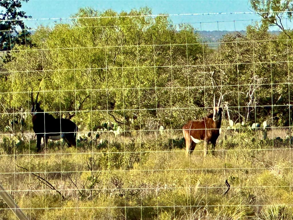 401 Fallow Spur Property Photo 11