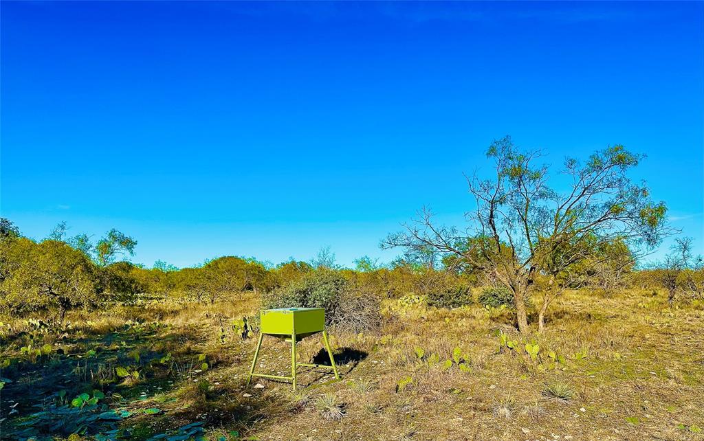 401 Fallow Spur Property Photo 13