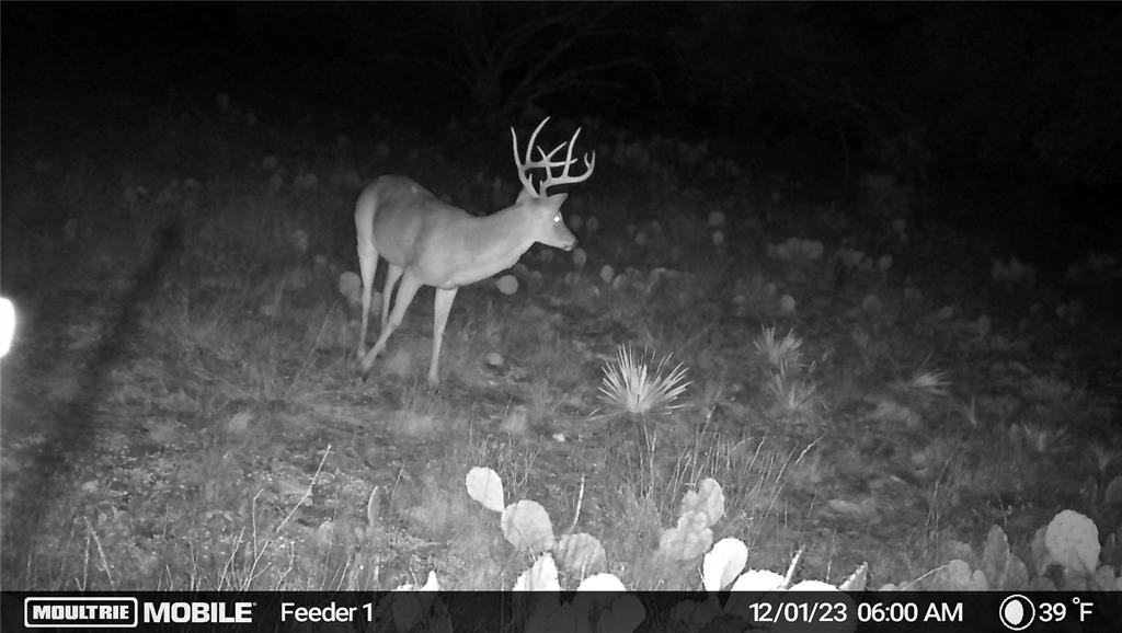 401 Fallow Spur Property Photo 14