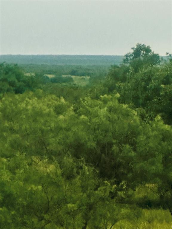 401 Fallow Spur Property Photo 18