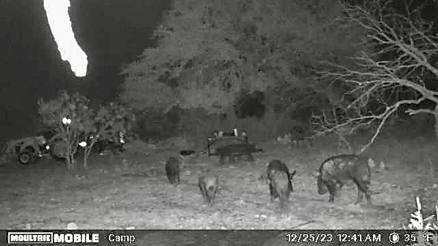 401 Fallow Spur Property Photo 23