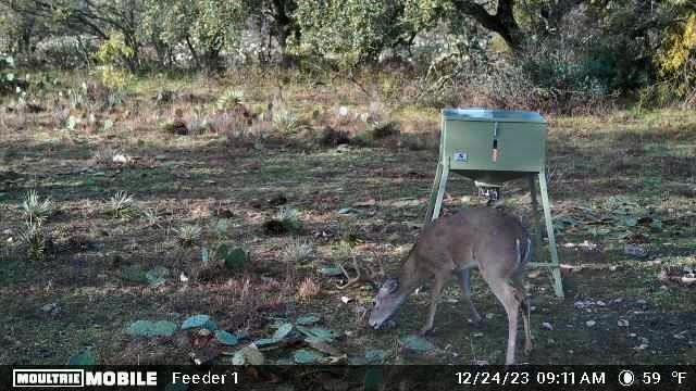 401 Fallow Spur Property Photo 24