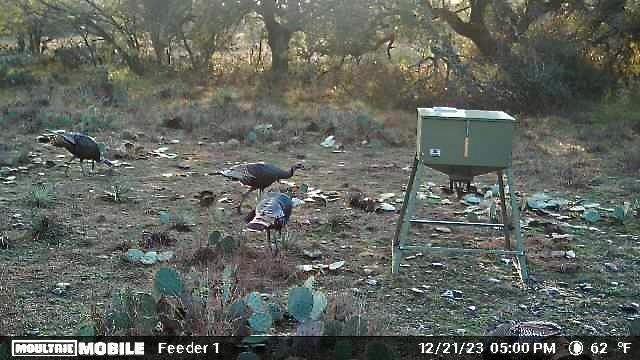 401 Fallow Spur Property Photo 25