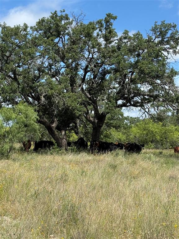 401 Fallow Spur Property Photo 33