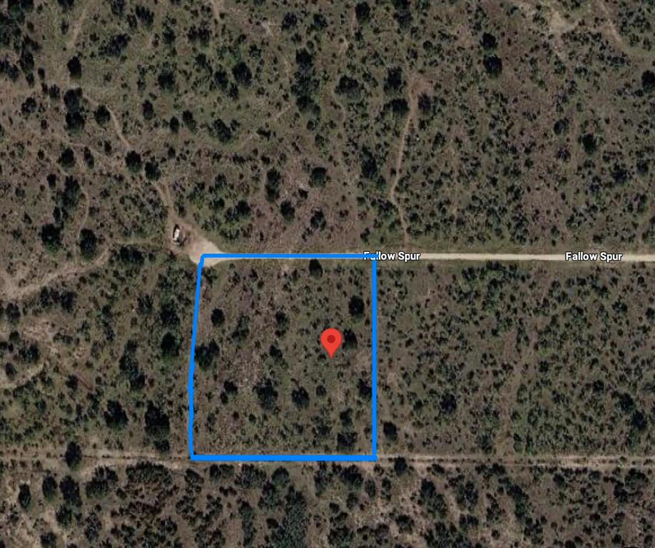 401 Fallow Spur Property Photo 34