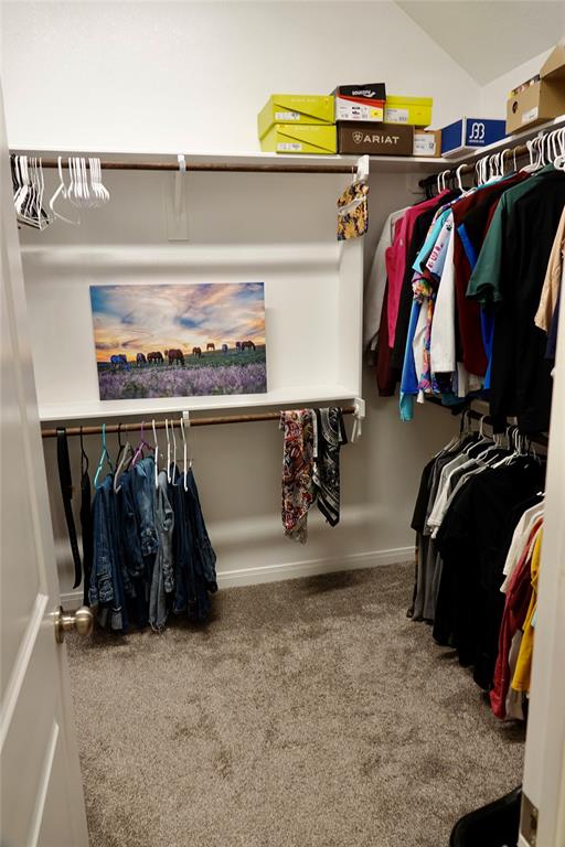 2019 Theresa Drive Property Photo 19