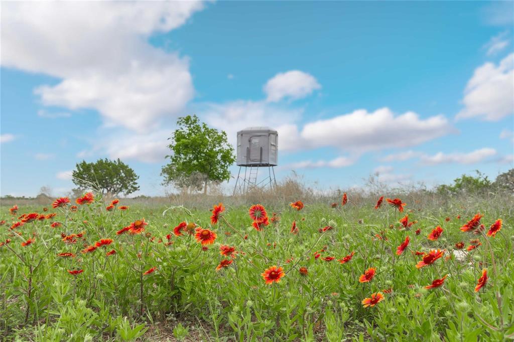 Lot 29 & 30 Comanche Hills Drive Property Photo 15