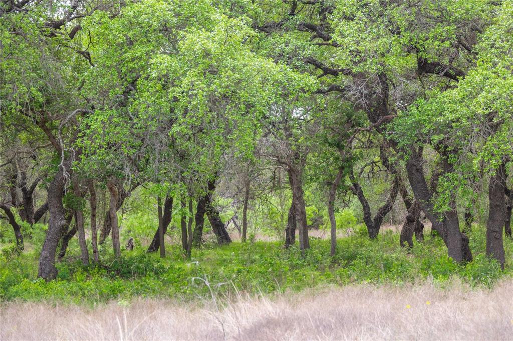 Lot 29 & 30 Comanche Hills Drive Property Photo 23