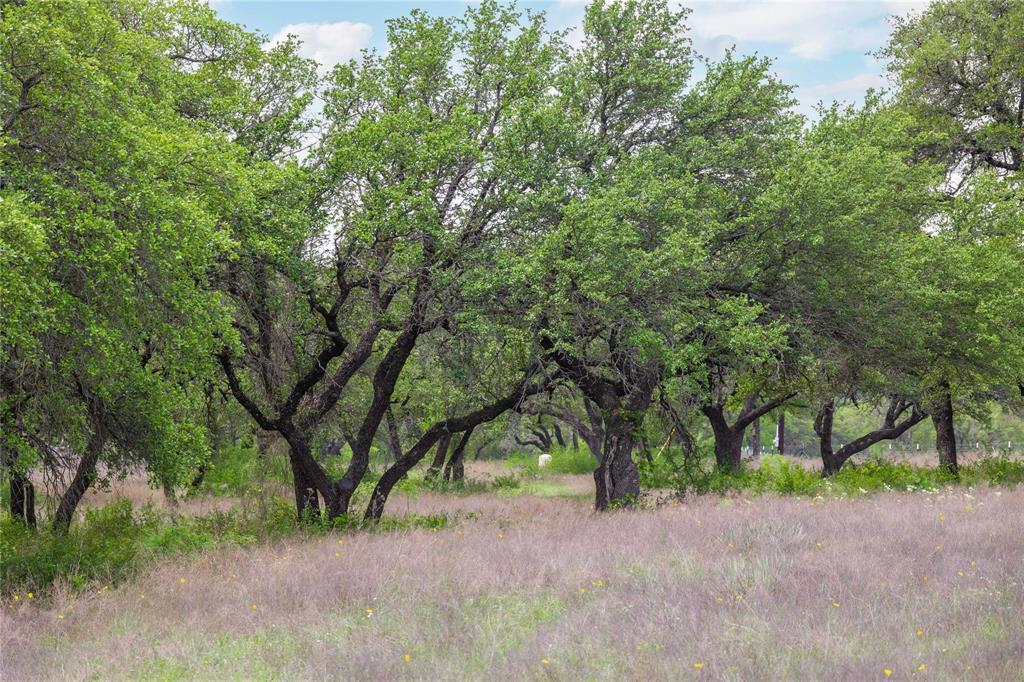 Lot 29 & 30 Comanche Hills Drive Property Photo 24