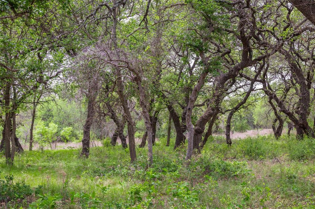 Lot 29 & 30 Comanche Hills Drive Property Photo 25