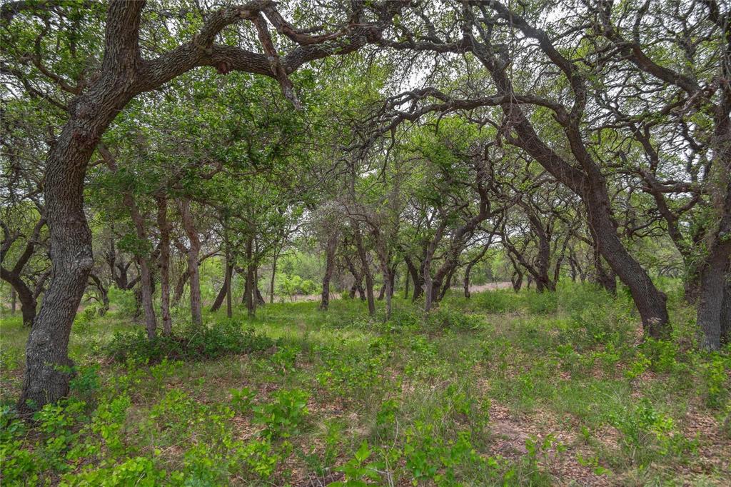 Lot 29 & 30 Comanche Hills Drive Property Photo 26
