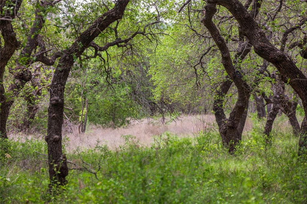 Lot 29 & 30 Comanche Hills Drive Property Photo 27