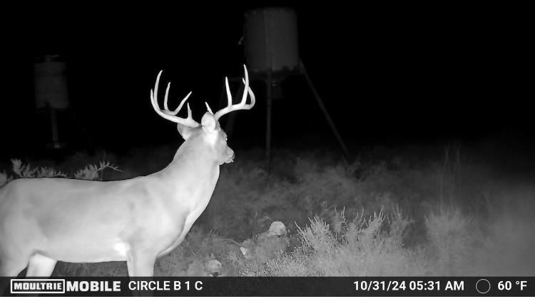 Lot 29 & 30 Comanche Hills Drive Property Photo 33