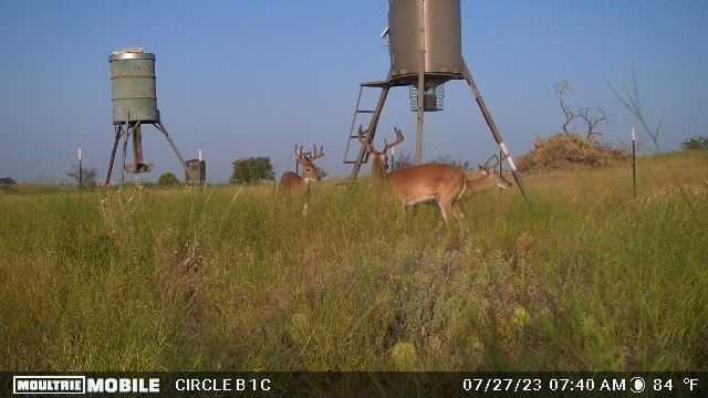 Lot 29 & 30 Comanche Hills Drive Property Photo 37