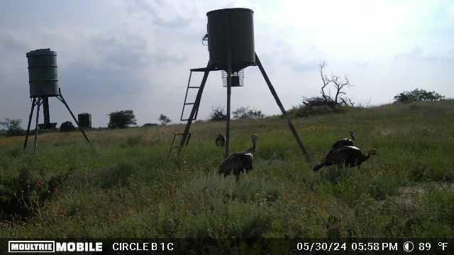 Lot 29 & 30 Comanche Hills Drive Property Photo 39