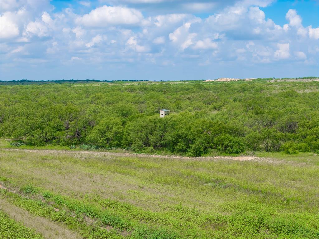 9999 Cr 296 Property Photo 3