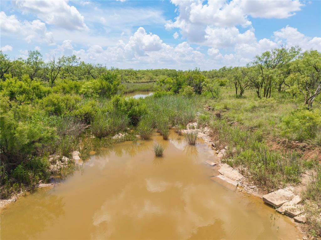 9999 Cr 296 Property Photo 5