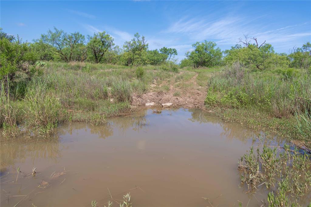 9999 Cr 296 Property Photo 7