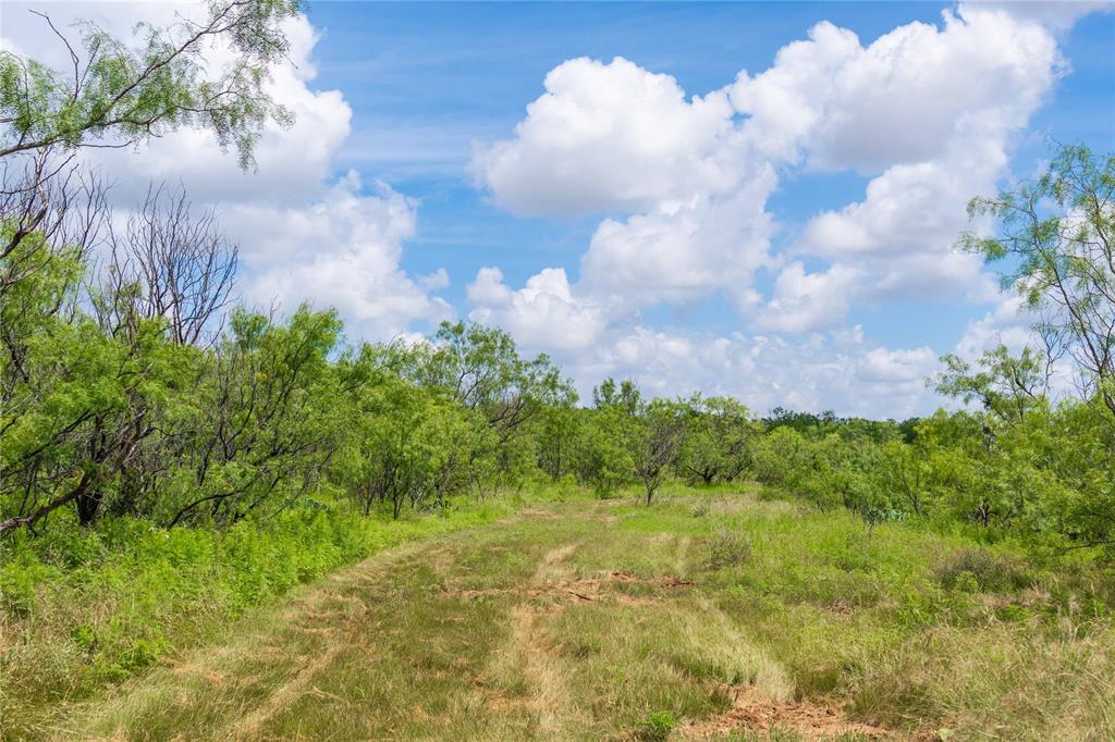 9999 Cr 296 Property Photo 29