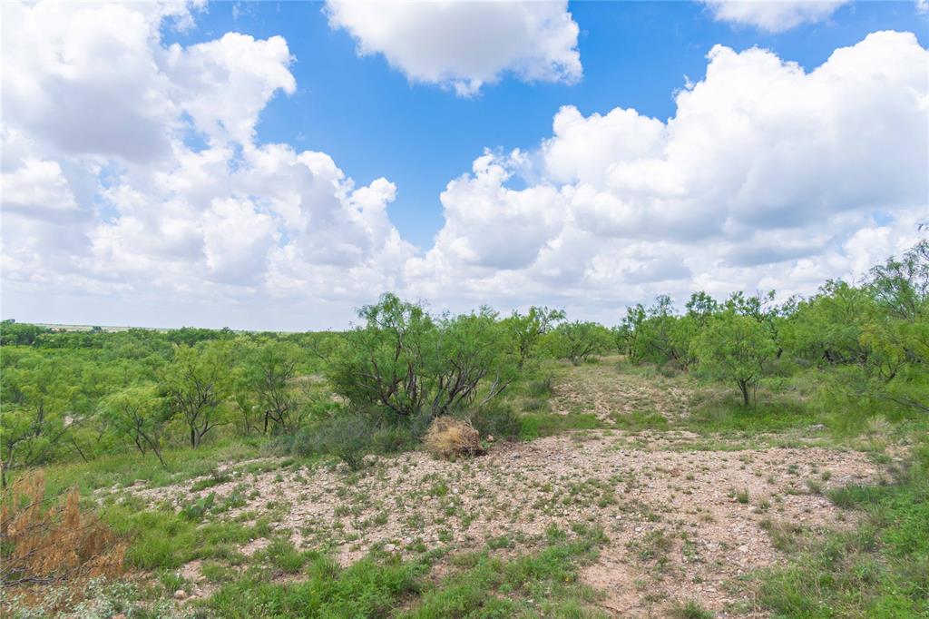 9999 Cr 296 Property Photo 31