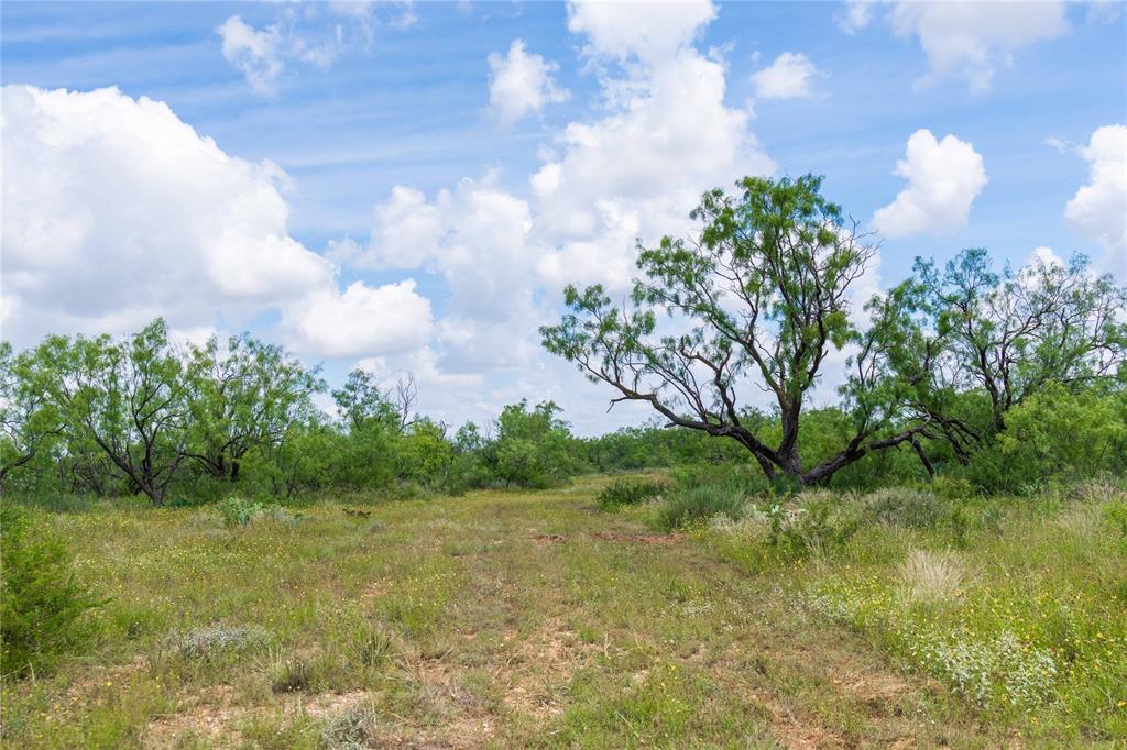 9999 Cr 296 Property Photo 32