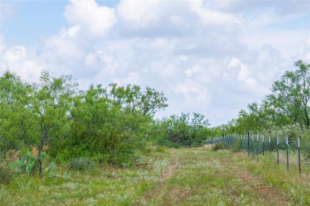 9999 Cr 296 Property Photo 33