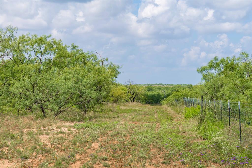 9999 Cr 296 Property Photo 34