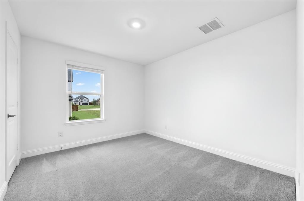 1133 Beebalm Mews Property Photo 19
