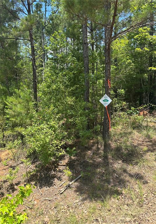 00 Maxey Property Photo 2