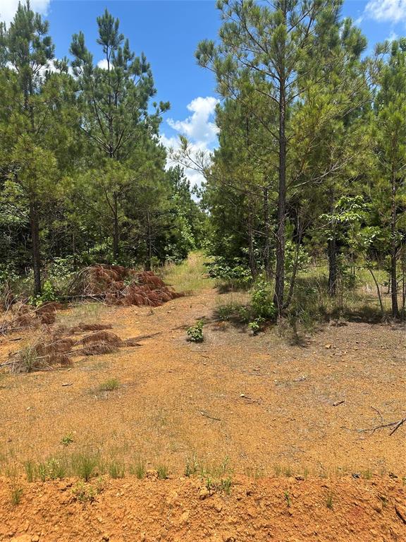 00 Maxey Property Photo 4