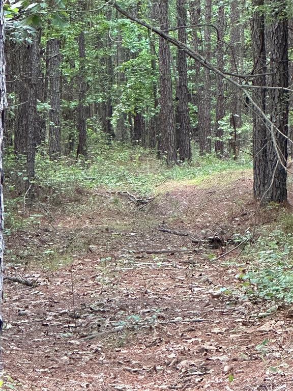00 Maxey Property Photo 5