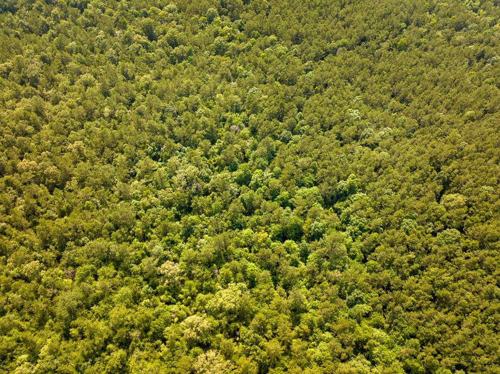 Off Webb Spikes Road Property Photo 3